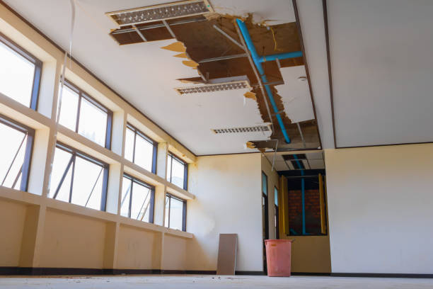 Best Ceiling water damage repair  in Tarpey Village, CA