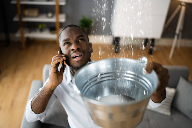 Best Flood restoration services  in Tarpey Village, CA