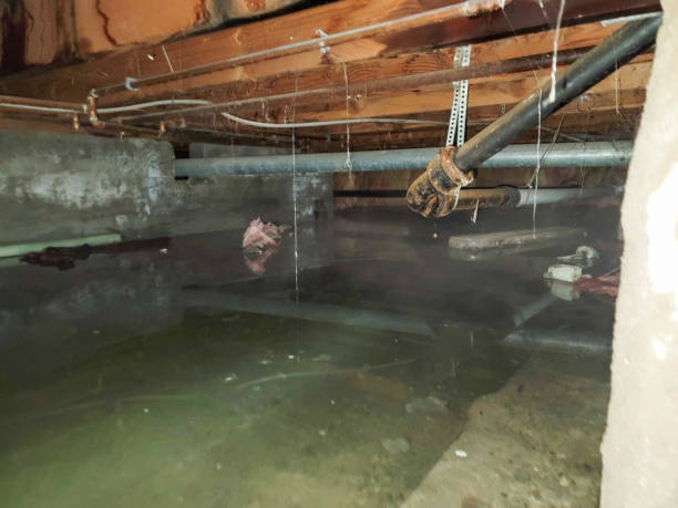 Best Local water damage restoration  in Tarpey Village, CA