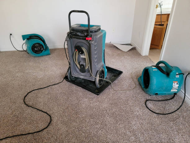 Best Flood damage cleanup  in Tarpey Village, CA