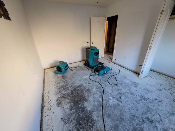 Best Water damage contractors near me  in Tarpey Village, CA