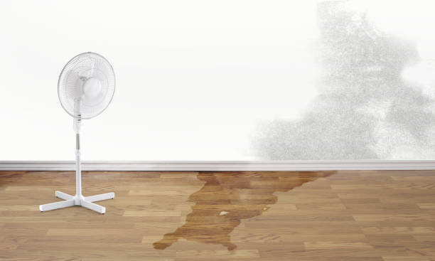 Best Flood restoration services  in Tarpey Village, CA