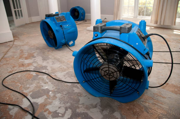 Best 24-hour water damage restoration  in Tarpey Village, CA