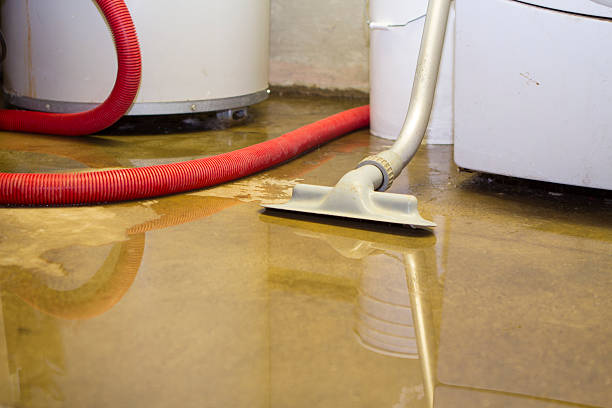 Best Carpet water damage restoration  in Tarpey Village, CA