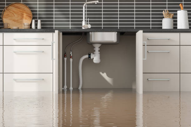 Best Professional water damage repair  in Tarpey Village, CA
