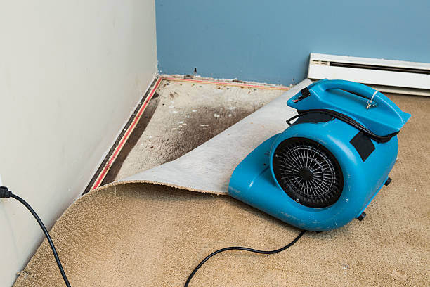 Best Commercial water damage restoration  in Tarpey Village, CA